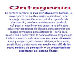 La corteza cerebral la más distintivamente humana. La
   mayor parte de nuestro pensar o planificar, y del
    lenguaje, imaginación, creatividad y capacidad de
      abstracción, proviene de esta región cerebral.
     Así, pues, el neocórtex nos capacita no sólo para
  solucionar ecuaciones de álgebra, para aprender una
     lengua extranjera, para estudiar la Teoría de la
Relatividad o desarrollar la bomba atómica. Proporciona
también a nuestra vida emocional una nueva dimensión.
  Amor y venganza, altruismo e intrigas, arte y moral,
 sensibilidad y entusiasmo van mucho más allá de los
 rudos modelos de percepción y de comportamiento
             espontáneo del sistema límbico.
 