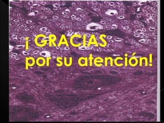 ¡ GRACIAS
por su atención!
 