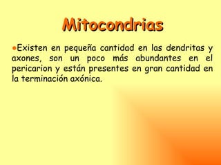 Mitocondrias
●Existen en pequeña cantidad en las dendritas y
axones, son un poco más abundantes en el
pericarion y están presentes en gran cantidad en
la terminación axónica.
 
