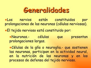Generalidades
●Los     nervios     están    constituidos     por
prolongaciones de las neuronas (células nerviosas).
●El tejido nervioso está constituido por:
  ●Neuronas.-      células      que         presentan
  prolongaciones largas.
  ●Células de la glía o neuroglia.- que sostienen
  las neuronas, participan en la actividad neural,
  en la nutrición de las neuronas y en los
  procesos de defensa del tejido nervioso.
 