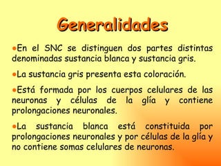 Generalidades
●En el SNC se distinguen dos partes distintas
denominadas sustancia blanca y sustancia gris.
●La sustancia gris presenta esta coloración.
●Está formada por los cuerpos celulares de las
neuronas y células de la glía y contiene
prolongaciones neuronales.
●La sustancia blanca está constituida por
prolongaciones neuronales y por células de la glía y
no contiene somas celulares de neuronas.
 