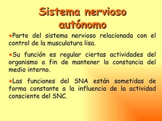 Sistema nervioso
             autónomo
●Parte del sistema nervioso relacionada con el
control de la musculatura lisa.
●Su función es regular ciertas actividades del
organismo a fin de mantener la constancia del
medio interno.
●Las funciones del SNA están sometidas de
forma constante a la influencia de la actividad
consciente del SNC.
 