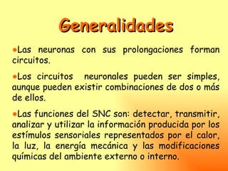 Generalidades
●Las neuronas con sus prolongaciones forman
circuitos.
●Los circuitos neuronales pueden ser simples,
aunque pueden existir combinaciones de dos o más
de ellos.
●Las funciones del SNC son: detectar, transmitir,
analizar y utilizar la información producida por los
estímulos sensoriales representados por el calor,
la luz, la energía mecánica y las modificaciones
químicas del ambiente externo o interno.
 