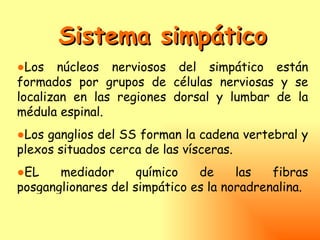 Sistema simpático
●Los núcleos nerviosos del simpático están
formados por grupos de células nerviosas y se
localizan en las regiones dorsal y lumbar de la
médula espinal.
●Los ganglios del SS forman la cadena vertebral y
plexos situados cerca de las vísceras.
●EL    mediador      químico   de     las   fibras
posganglionares del simpático es la noradrenalina.
 
