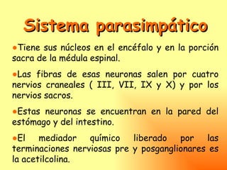 Sistema parasimpático
●Tiene sus núcleos en el encéfalo y en la porción
sacra de la médula espinal.
●Las fibras de esas neuronas salen por cuatro
nervios craneales ( III, VII, IX y X) y por los
nervios sacros.
●Estas neuronas se encuentran en la pared del
estómago y del intestino.
●El    mediador   químico   liberado   por   las
terminaciones nerviosas pre y posganglionares es
la acetilcolina.
 