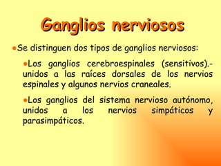Ganglios nerviosos
●Se distinguen dos tipos de ganglios nerviosos:
  ●Los ganglios cerebroespinales (sensitivos).-
  unidos a las raíces dorsales de los nervios
  espinales y algunos nervios craneales.
  ●Los ganglios del sistema nervioso autónomo,
  unidos   a    los    nervios  simpáticos   y
  parasimpáticos.
 