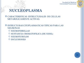 NUCLEOPLASMA
 CARACTERISTICAS ESTRUCTURALES DE CELULAS
  METABOLICAMENTE ACTIVAS.

 ESTRUCTURAS CITOPLASMATICAS TIPICAS PARA LAS
  NEURONAS
     NEUROFIBRILLAS
     SUSTANCIA CROMATOFILICA (DE NISSL)
     NEUROTUBULOS
     INCLUSIONES
 