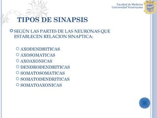 TIPOS DE SINAPSIS
 SEGÚN LAS PARTES DE LAS NEURONAS QUE
  ESTABLECEN RELACION SINAPTICA:

   AXODENDRITICAS
   AXOSOMATICAS
   AXOAXONICAS
   DENDRODENDRITICAS
   SOMATOSOMATICAS
   SOMATODENDRITICAS
   SOMATOAXONICAS
 