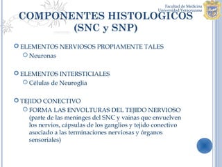 COMPONENTES HISTOLOGICOS
        (SNC y SNP)
 ELEMENTOS NERVIOSOS PROPIAMENTE TALES
    Neuronas

 ELEMENTOS INTERSTICIALES
    Células de Neuroglia

 TEJIDO CONECTIVO
    FORMA LAS ENVOLTURAS DEL TEJIDO NERVIOSO
     (parte de las meninges del SNC y vainas que envuelven
     los nervios, cápsulas de los ganglios y tejido conectivo
     asociado a las terminaciones nerviosas y órganos
     sensoriales)
 