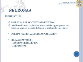 NEURONAS
 ESTRUCTURA

   ESTRECHA RELACION FORMA-FUNCION
   (recibir estímulos, traducirlos a una señal o impulso nervioso,
    conducir impulso a cierta distancia y finalmente entregarlo)

   CUERPO NEURONAL: SOMA O PERICARION

   PROLONGACIONES:
     AXON O CILINDRO EJE
     DENDRITAS
 
