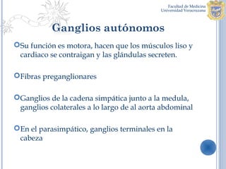 Ganglios autónomos
Su función es motora, hacen que los músculos liso y
 cardiaco se contraigan y las glándulas secreten.

Fibras preganglionares

Ganglios de la cadena simpática junto a la medula,
 ganglios colaterales a lo largo de al aorta abdominal

En el parasimpático, ganglios terminales en la
 cabeza
 