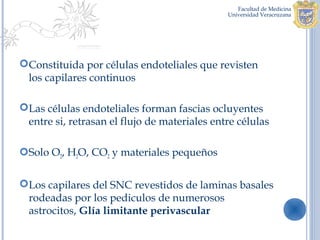 Constituida por células endoteliales que revisten
 los capilares continuos

Las células endoteliales forman fascias ocluyentes
 entre si, retrasan el flujo de materiales entre células

Solo O2, H2O, CO2 y materiales pequeños

Los capilares del SNC revestidos de laminas basales
 rodeadas por los pediculos de numerosos
 astrocitos, Glía limitante perivascular
 