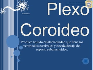 Plexo
Coroideo
Produce liquido cefalorraquídeo que llena los
  ventrículos cerebrales y circula debajo del
           espacio subaracnoideo.
 