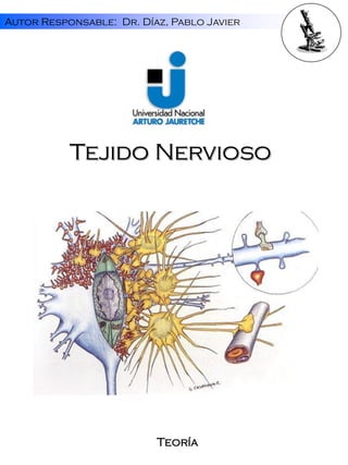 Autor Responsable: Dr. Díaz, Pablo Javier

Tejido Nervioso

Teoría

 