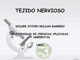 TEJIDO NERVIOSO
WILDER STIVEN ROLDAN BARRERO
UNIVERSIDAD DE CIENCIAS APLICADAS
Y AMBIENTAS
1MHC
 