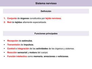 Tejido nervioso | PPTX