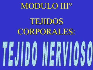 MODULO III° 
TEJIDOS 
CORPORALES: 
 