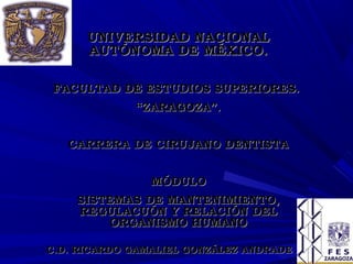 UNIVERSIDAD NACIONALUNIVERSIDAD NACIONAL
AUTÓNOMA DE MÉXICO.AUTÓNOMA DE MÉXICO.
FACULTAD DE ESTUDIOS SUPERIORES.FACULTAD DE ESTUDIOS SUPERIORES.
““ZARAGOZA”.ZARAGOZA”.
CARRERA DE CIRUJANO DENTISTACARRERA DE CIRUJANO DENTISTA
MÓDULOMÓDULO
SISTEMAS DE MANTENIMIENTO,SISTEMAS DE MANTENIMIENTO,
REGULACUÓN Y RELACIÓN DELREGULACUÓN Y RELACIÓN DEL
ORGANISMO HUMANOORGANISMO HUMANO
C.D. RICARDO GAMALIEL GONZÁLEZ ANDRADEC.D. RICARDO GAMALIEL GONZÁLEZ ANDRADE
 