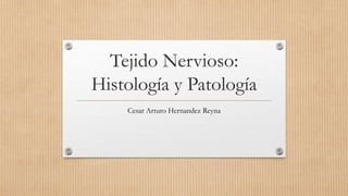 Tejido Nervioso:
Histología y Patología
Cesar Arturo Hernandez Reyna
 