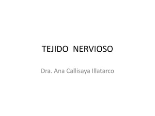 TEJIDO NERVIOSO
Dra. Ana Callisaya Illatarco
 