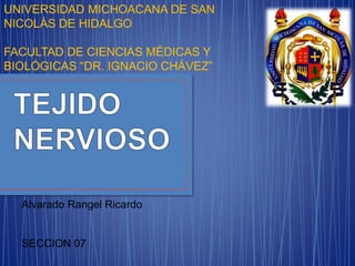 Alvarado Rangel Ricardo
SECCION 07
UNIVERSIDAD MICHOACANA DE SAN
NICOLÁS DE HIDALGO
FACULTAD DE CIENCIAS MÉDICAS Y
BIOLÓGICAS “DR. IGNACIO CHÁVEZ”
 