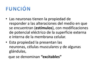 • Las neuronas tienen la propiedad de
responder a las alteraciones del medio en que
se encuentran (estímulos), con modificaciones
de potencial eléctrico de la superficie externa
e interna de la membrana celular.
• Esta propiedad la presentan las
neuronas, células musculares y de algunas
glándulas,
que se denominan “excitables”
 