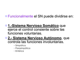 Funcionalmente el SN puede dividirse en:
1.-Sistema Nervioso Somático que
ejerce el control consiente sobre las
funciones voluntarias.
2.- Sistema Nervioso Autónomo, que
controla las funciones involuntarias.
• Simpática
• Parasimpática
• Entérica
 