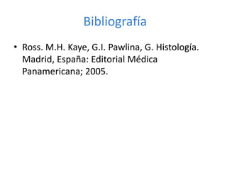 Bibliografía
• Ross. M.H. Kaye, G.I. Pawlina, G. Histología.
Madrid, España: Editorial Médica
Panamericana; 2005.
 