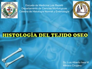 Escuela de Medicina Luis Razetti
 Departamento de Ciencias Morfológicas
Cátedra de Histología Normal y Embriología




                                    Dr. Luis Alberto Isea M
                                    Médico Cirujano
 