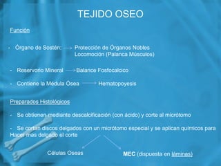 TEJIDO OSEO
Función


- Órgano de Sostén:       Protección de Órganos Nobles
                          Locomoción (Palanca...