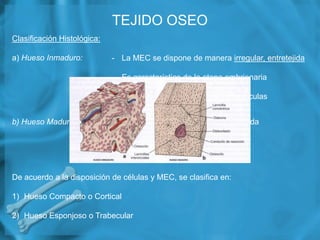 TEJIDO OSEO
Clasificación Histológica:

a) Hueso Inmaduro:           - La MEC se dispone de manera irregular, entretejida
...