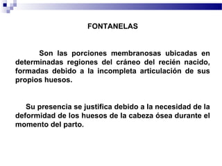 FONTANELAS 
Son las porciones membranosas ubicadas en 
determinadas regiones del cráneo del recién nacido, 
formadas debido a la incompleta articulación de sus 
propios huesos. 
Su presencia se justifica debido a la necesidad de la 
deformidad de los huesos de la cabeza ósea durante el 
momento del parto. 
 