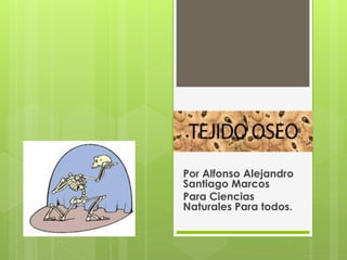 Por Alfonso Alejandro Santiago Marcos 
Para Ciencias Naturales Para todos.  