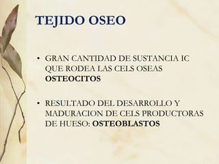 TEJIDO OSEO
• GRAN CANTIDAD DE SUSTANCIA IC
QUE RODEA LAS CELS OSEAS
OSTEOCITOS
• RESULTADO DEL DESARROLLO Y
MADURACION DE CELS PRODUCTORAS
DE HUESO: OSTEOBLASTOS
 
