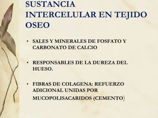 SUSTANCIA
INTERCELULAR EN TEJIDO
OSEO
• SALES Y MINERALES DE FOSFATO Y
CARBONATO DE CALCIO
• RESPONSABLES DE LA DUREZA DEL
HUESO.
• FIBRAS DE COLAGENA: REFUERZO
ADICIONAL UNIDAS POR
MUCOPOLISACARIDOS (CEMENTO)
 