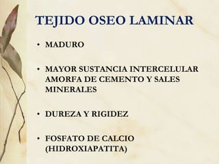 TEJIDO OSEO LAMINAR
• MADURO
• MAYOR SUSTANCIA INTERCELULAR
AMORFA DE CEMENTO Y SALES
MINERALES
• DUREZA Y RIGIDEZ
• FOSFATO DE CALCIO
(HIDROXIAPATITA)
 