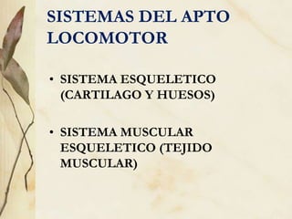 SISTEMAS DEL APTO
LOCOMOTOR
• SISTEMA ESQUELETICO
(CARTILAGO Y HUESOS)
• SISTEMA MUSCULAR
ESQUELETICO (TEJIDO
MUSCULAR)
 