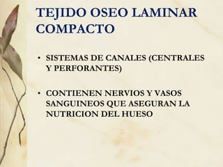 TEJIDO OSEO LAMINAR
COMPACTO
• SISTEMAS DE CANALES (CENTRALES
Y PERFORANTES)
• CONTIENEN NERVIOS Y VASOS
SANGUINEOS QUE ASEGURAN LA
NUTRICION DEL HUESO
 