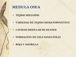 MEDULA OSEA
• TEJIDO MIELOIDE
• VARIEDAD DE TEJIDO HEMATOPOYETICO
• CAVIDAD MEDULAR DE HUESOS
• FORMACION DE CELS SANGUINEAS
• ROJA Y AMARILLA
 