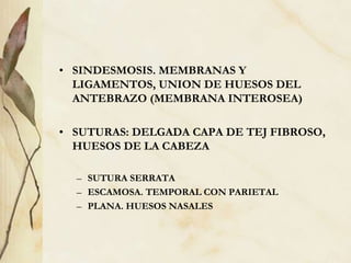 • SINDESMOSIS. MEMBRANAS Y
LIGAMENTOS, UNION DE HUESOS DEL
ANTEBRAZO (MEMBRANA INTEROSEA)
• SUTURAS: DELGADA CAPA DE TEJ FIBROSO,
HUESOS DE LA CABEZA
– SUTURA SERRATA
– ESCAMOSA. TEMPORAL CON PARIETAL
– PLANA. HUESOS NASALES
 