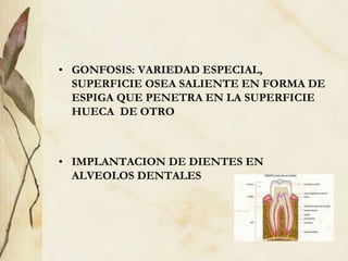 • GONFOSIS: VARIEDAD ESPECIAL,
SUPERFICIE OSEA SALIENTE EN FORMA DE
ESPIGA QUE PENETRA EN LA SUPERFICIE
HUECA DE OTRO
• IMPLANTACION DE DIENTES EN
ALVEOLOS DENTALES
 