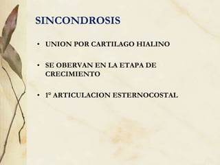 SINCONDROSIS
• UNION POR CARTILAGO HIALINO
• SE OBERVAN EN LA ETAPA DE
CRECIMIENTO
• 1° ARTICULACION ESTERNOCOSTAL
 