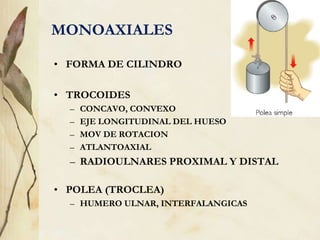 MONOAXIALES
• FORMA DE CILINDRO
• TROCOIDES
– CONCAVO, CONVEXO
– EJE LONGITUDINAL DEL HUESO
– MOV DE ROTACION
– ATLANTOAXIAL
– RADIOULNARES PROXIMAL Y DISTAL
• POLEA (TROCLEA)
– HUMERO ULNAR, INTERFALANGICAS
 