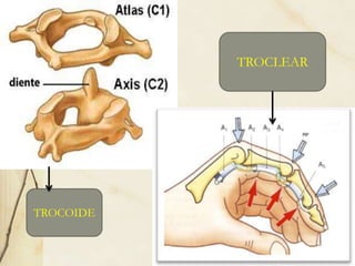 TROCOIDE
TROCLEAR
 