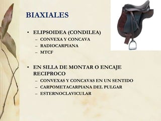 BIAXIALES
• ELIPSOIDEA (CONDILEA)
– CONVEXA Y CONCAVA
– RADIOCARPIANA
– MTCF
• EN SILLA DE MONTAR O ENCAJE
RECIPROCO
– CONVEXAS Y CONCAVAS EN UN SENTIDO
– CARPOMETACARPIANA DEL PULGAR
– ESTERNOCLAVICULAR
 