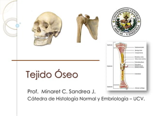 Tejido Óseo
Prof. Minaret C. Sandrea J.
Cátedra de Histología Normal y Embriología – UCV.
 
