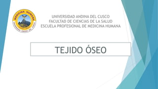 UNIVERSIDAD ANDINA DEL CUSCO
FACULTAD DE CIENCIAS DE LA SALUD
ESCUELA PROFESIONAL DE MEDICINA HUMANA
TEJIDO ÓSEO
 