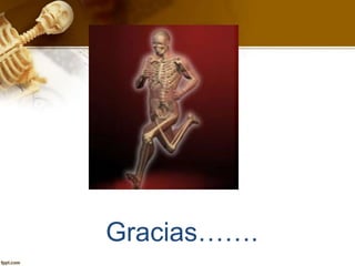Gracias…….
 