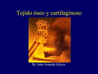 Tejido óseo y cartilaginoso Dr. John Araneda Gálvez 