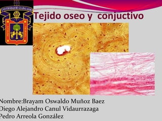 Tejido oseo y conjuctivo
Nombre:Brayam Oswaldo Muñoz Baez
Diego Alejandro Canul Vidaurrazaga
Pedro Arreola González
 